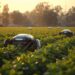 Revolutionizing Farming: The Role of Autonomous Robotics